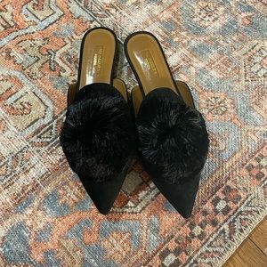 Aquazzura Powder Puff Black Suede Mules. New, in amazing condition!